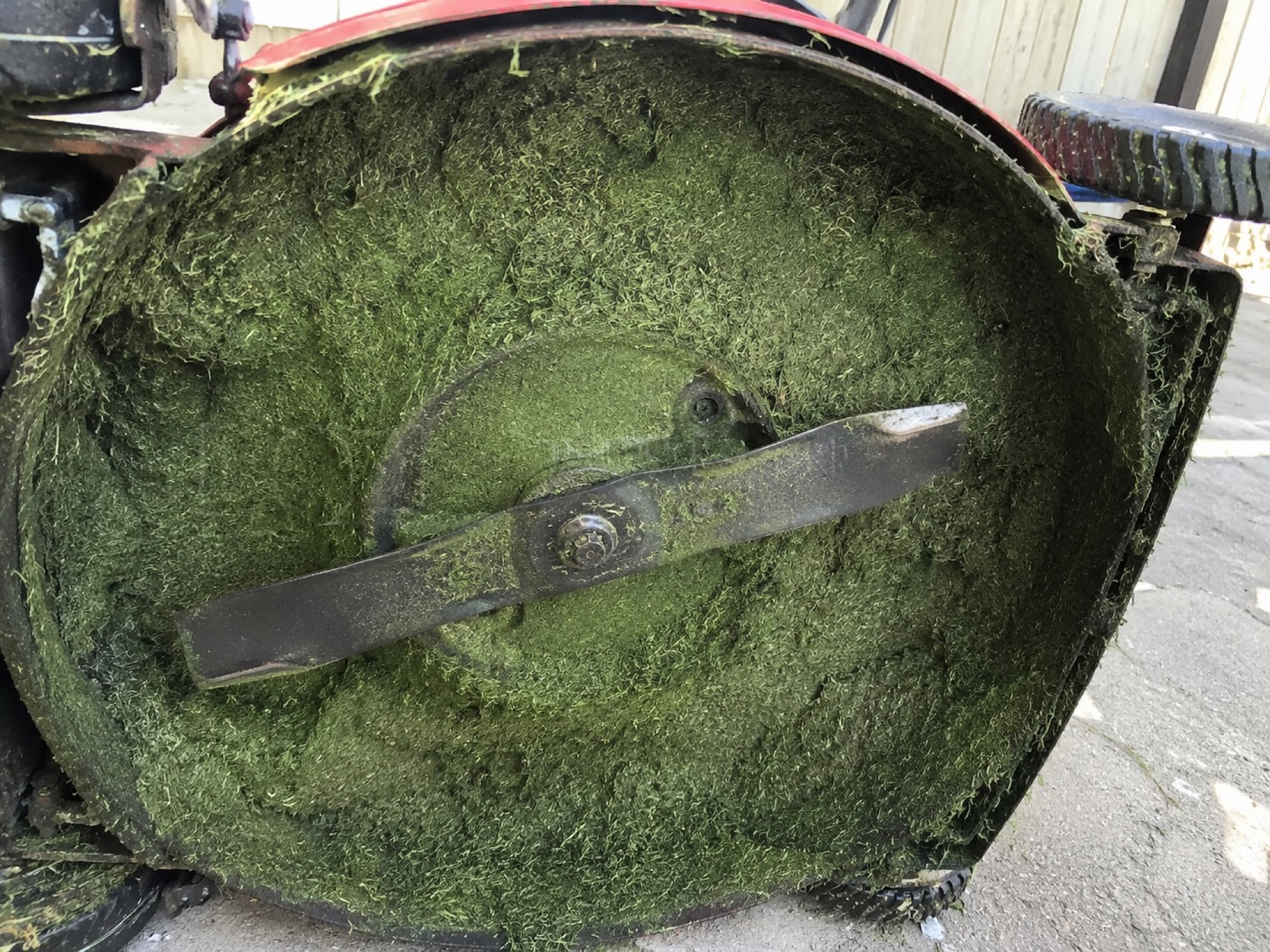 Lawn mower deck and blade undergoing inspection
